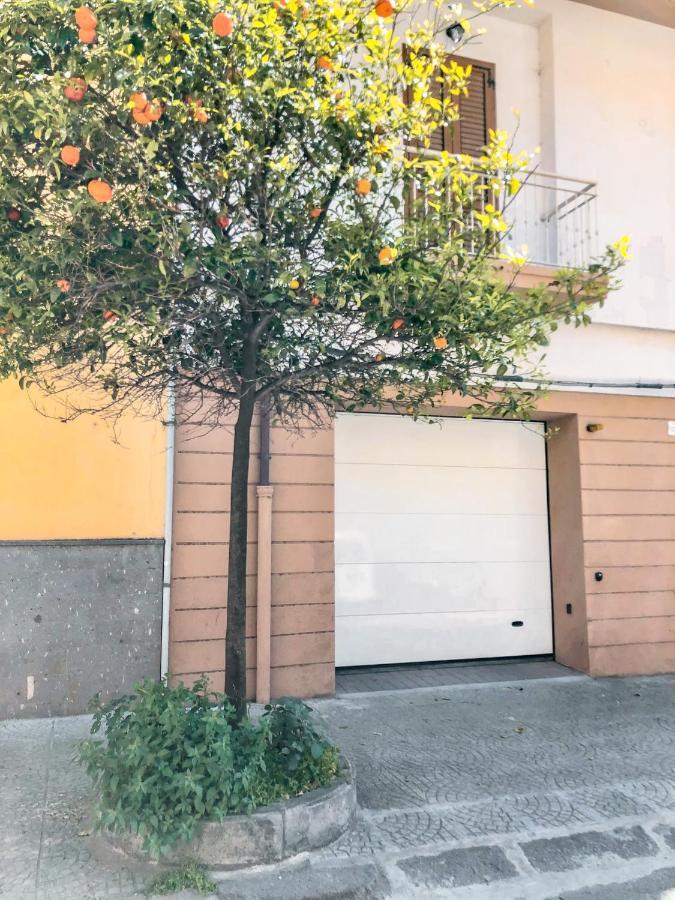 Free Private Parking, New Apartment Alghero Exteriér fotografie